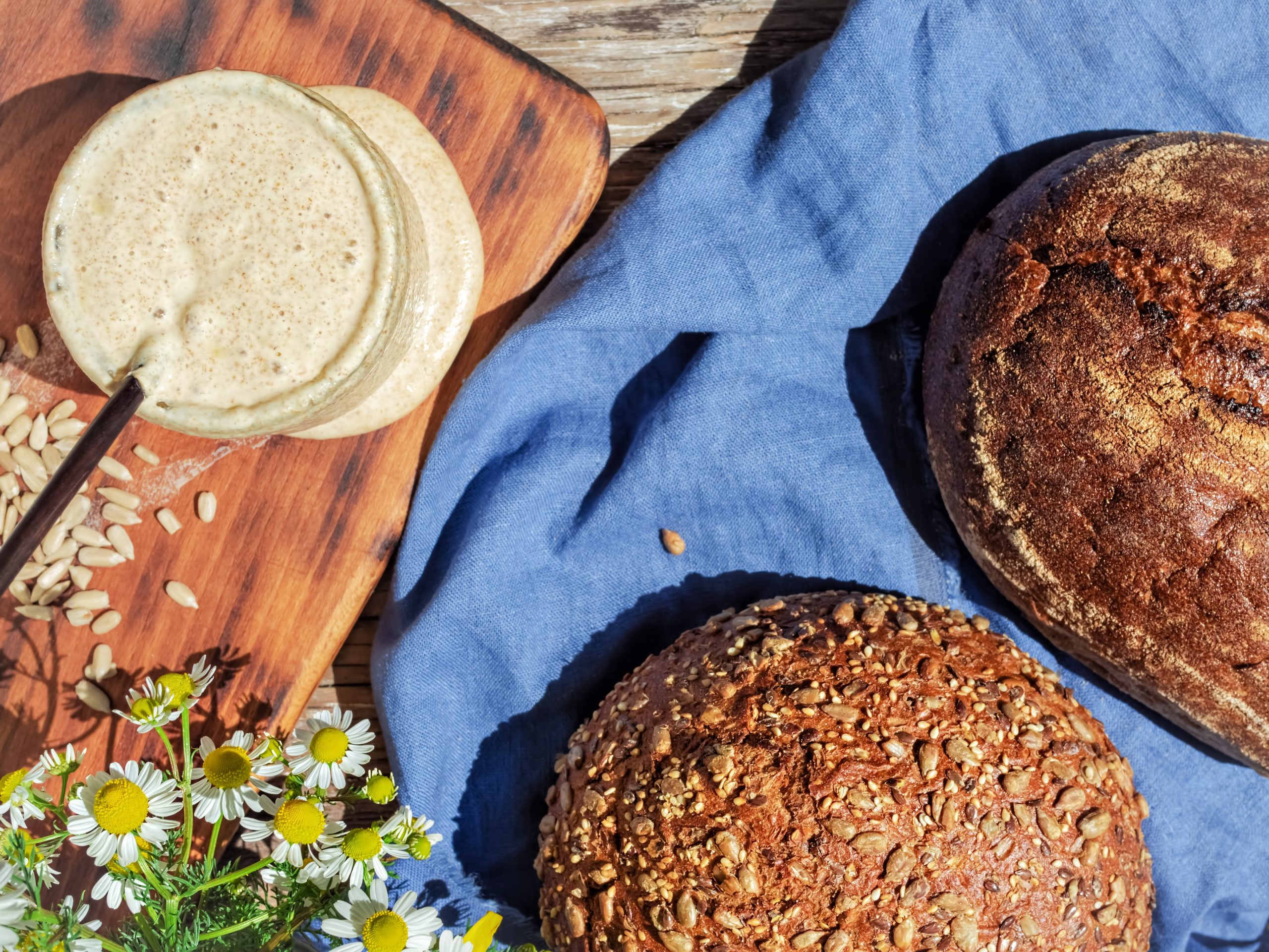 Тестування харчових продуктів