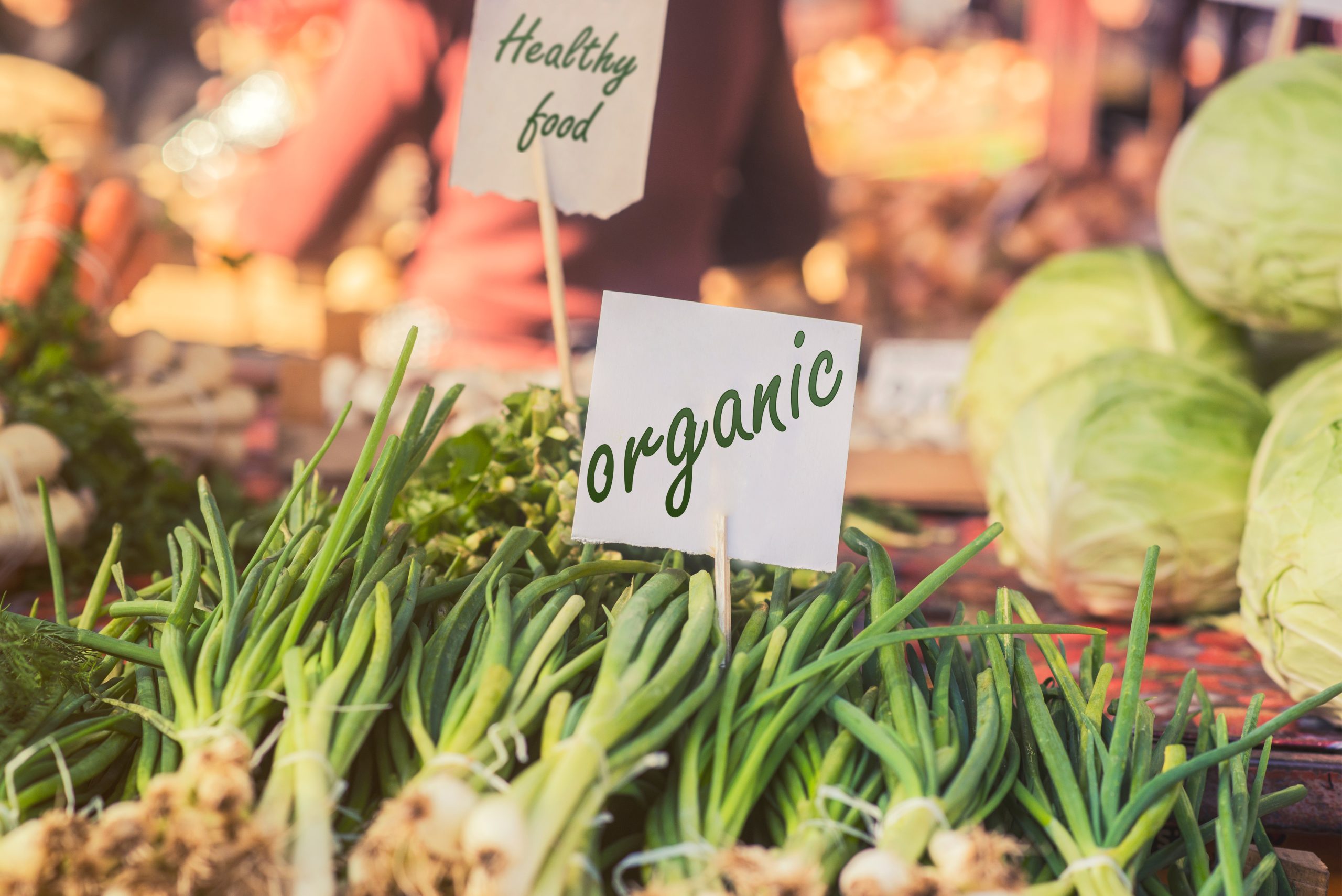 Органічна продукція